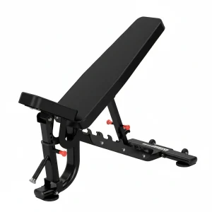 Insight Fitness - Adjustable Bench DR034