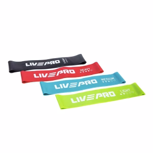 Livepro Resistance Loop Bands Set